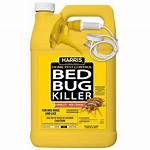 Strongest Bed Bug Killer