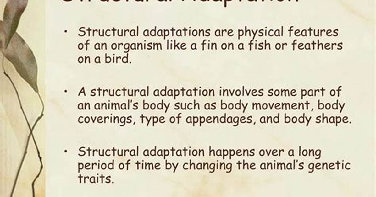 Structural Adaptation Examples