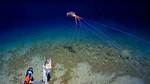 Stuff Spouted by a Squid