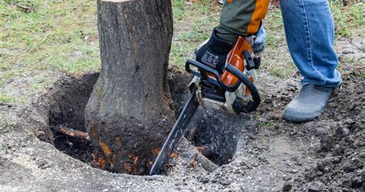 Stump Out