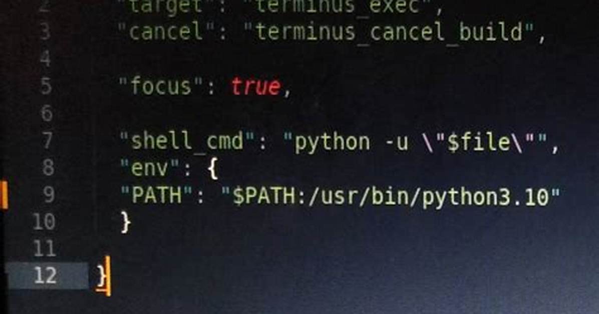 Sublime Text2 Python Error Message /Usr/Bin/Python: Can't Find '__Main__' Module in ''