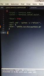 Sublime Text2 Python Error Message /Usr/Bin/Python: Can't Find '__Main__' Module in ''