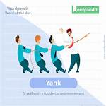 Sudden Yank