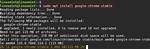 Sudo Apt-Get Install (Google-Chrome-Stable_Current_Amd64. Deb) Is Not Working