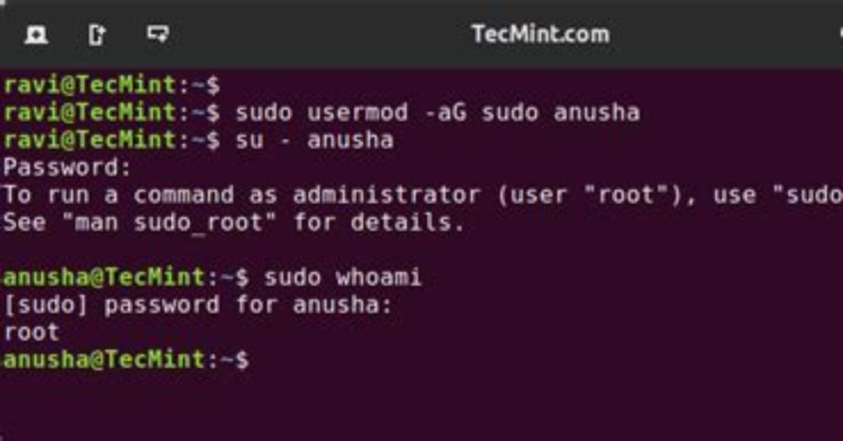 Sudo as Another User and Run Command