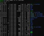 Sudo Chmod -R 777 /