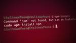 Sudo: Npm: Command Not Found