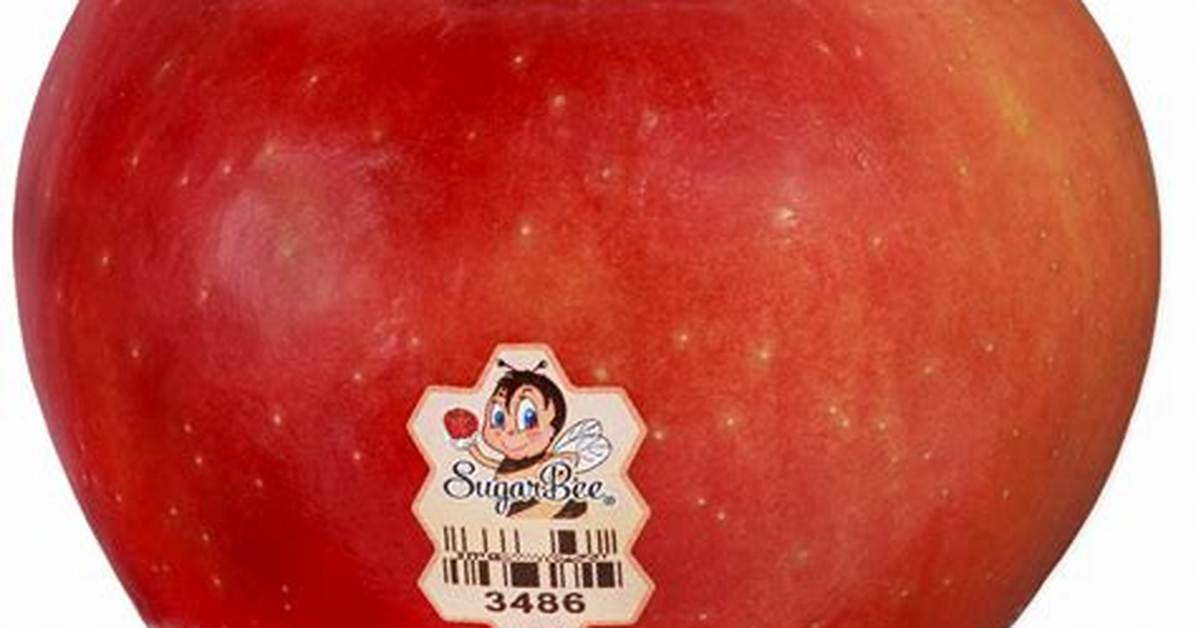 Sugar Bee Apple