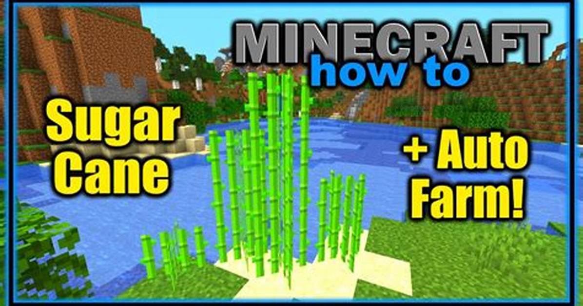 Sugar Minecraft