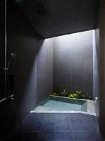 Sunken Shower