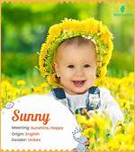 Sunny Definition