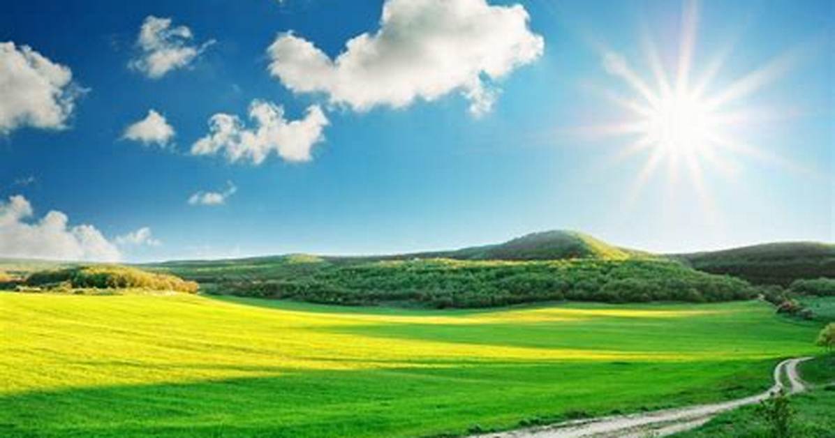 Sunny