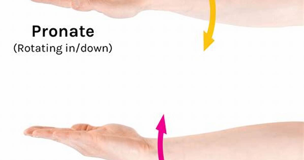 Supination Movement