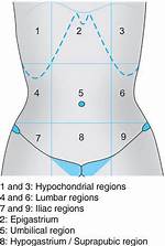 Suprapubic Region