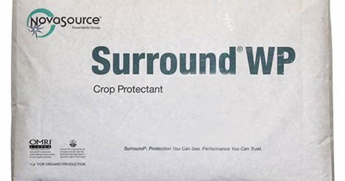 Surround Wp