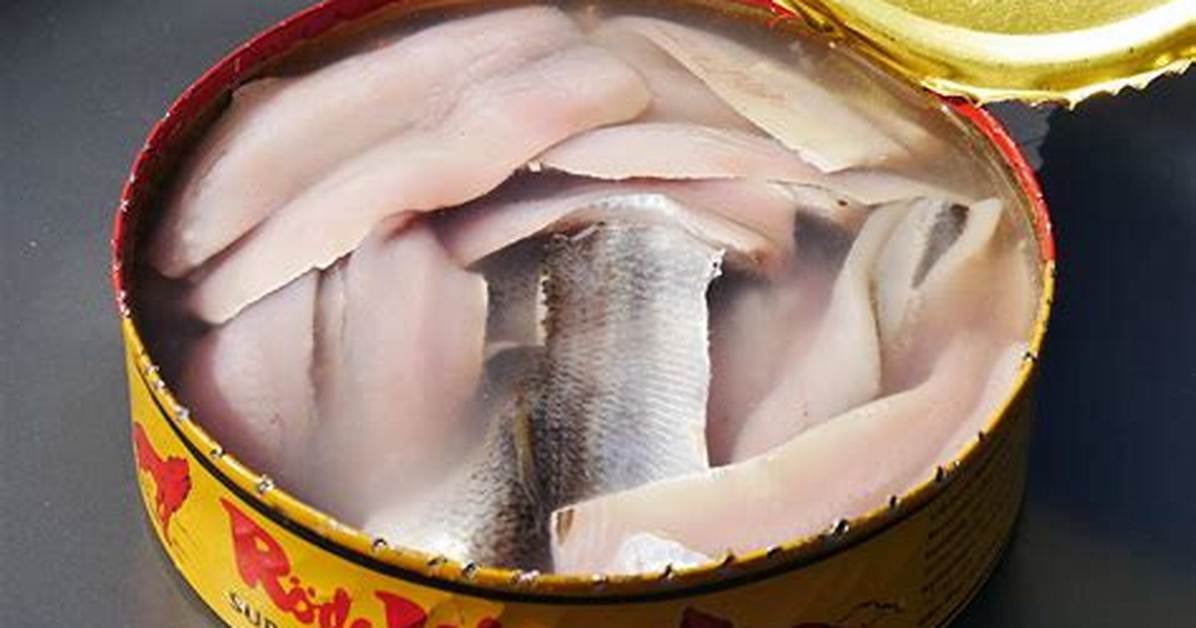 Surstromming Fish