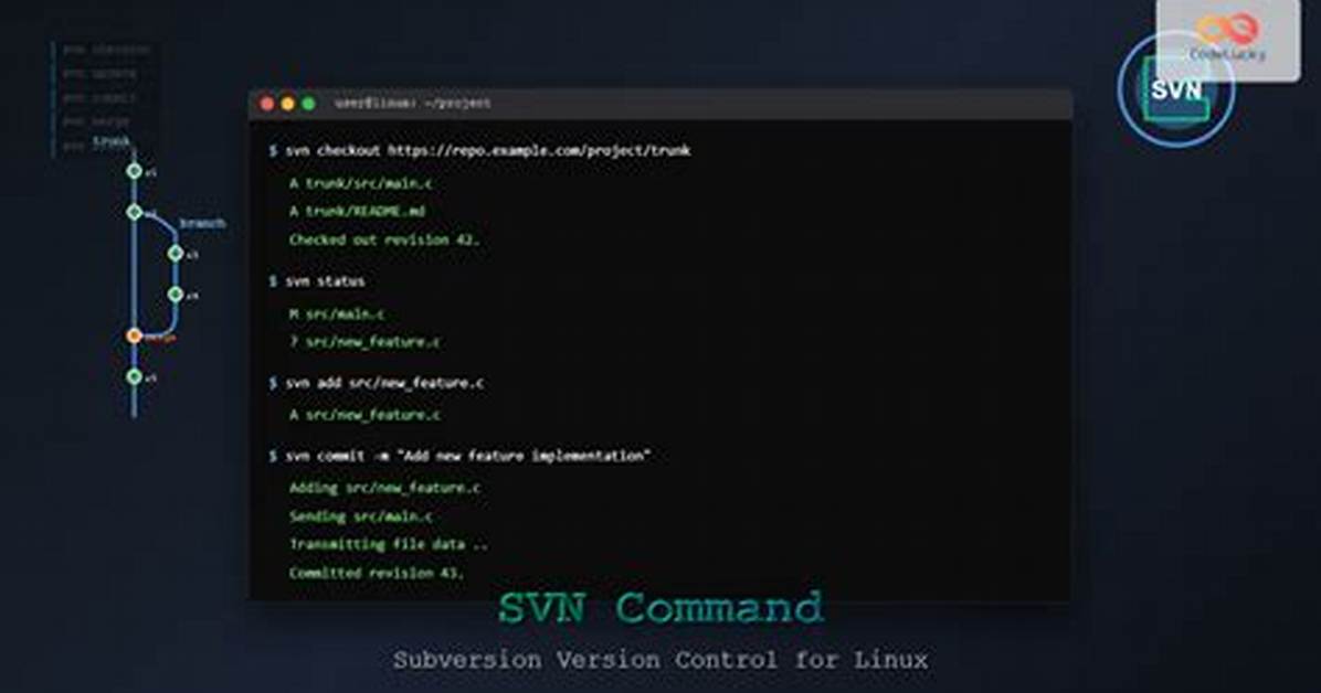 Svn Commit Command
