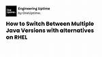 Switch Between Multiple Java Versions