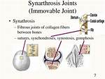 Synarthrosis Joint