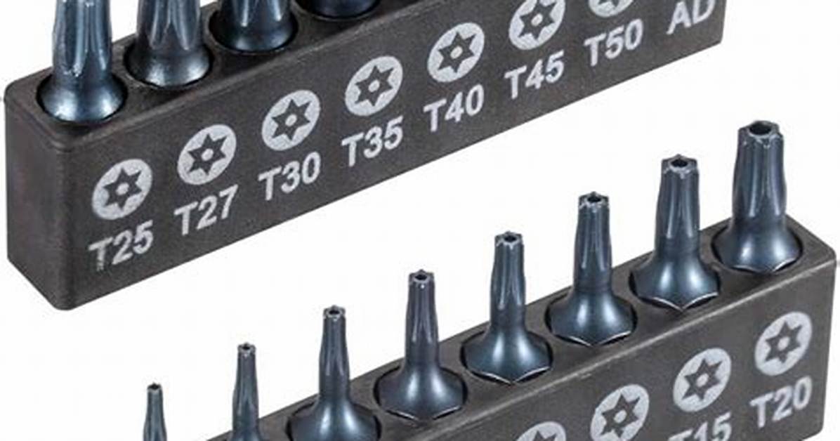 T50 Torx Bit