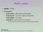 Tachy Prefix