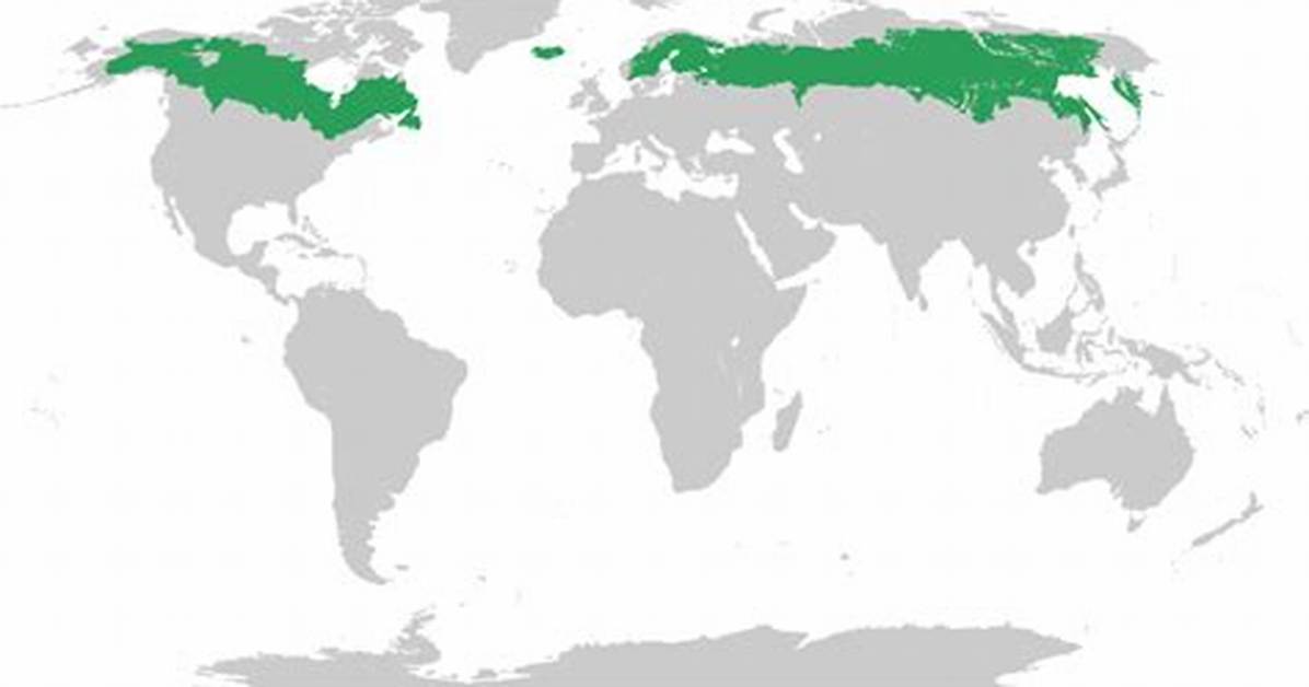 Taiga Location