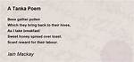 Tanka Poem Examples