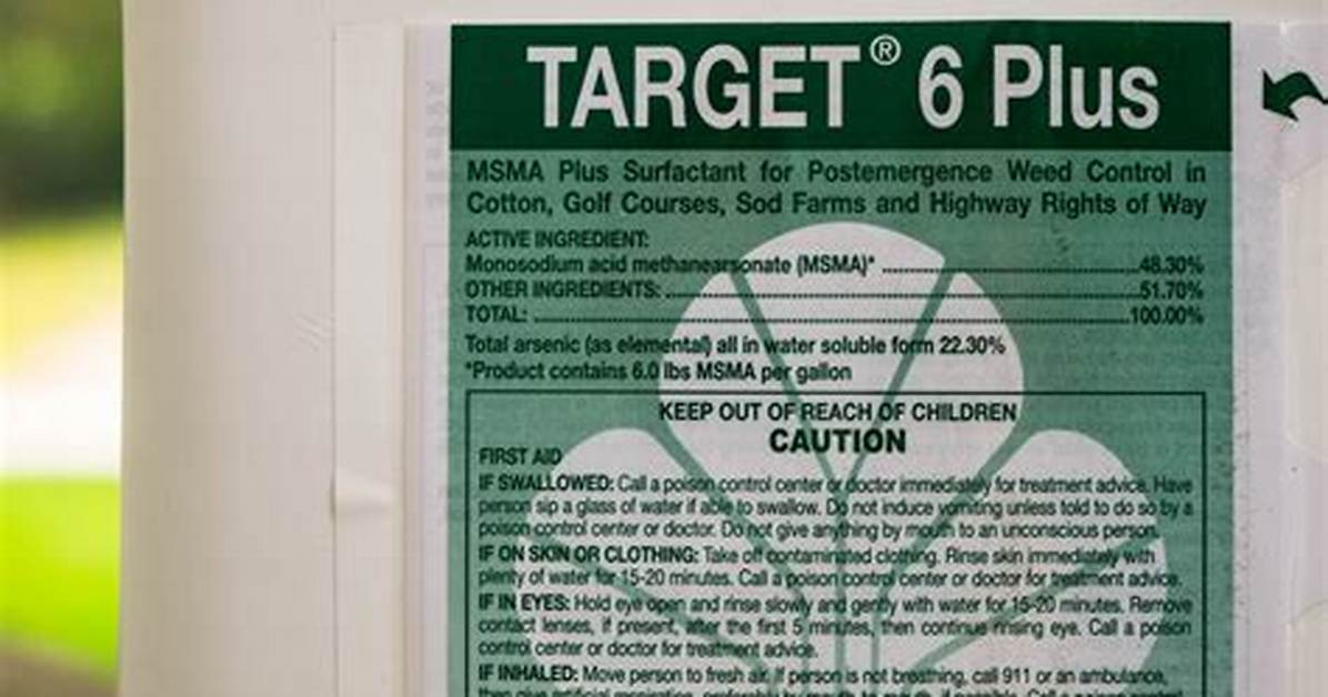 Target 6 Plus