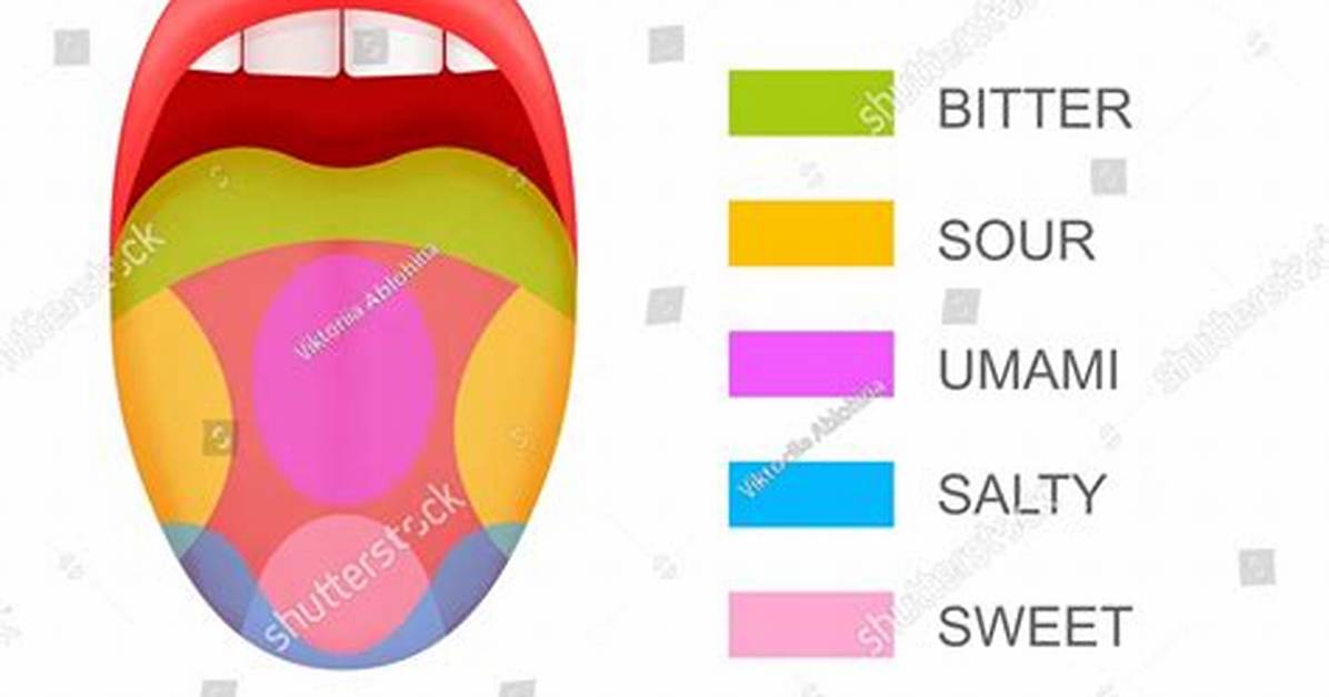 Taste Map