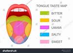 Taste Map