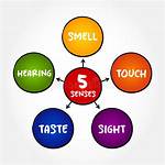 Taste or Sight for Example