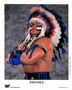 Tatanka