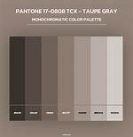 Taupe Gray