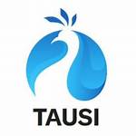 Tausi