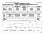 Taxonomy Practice Quiz