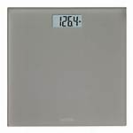 Taylor Weight Scale