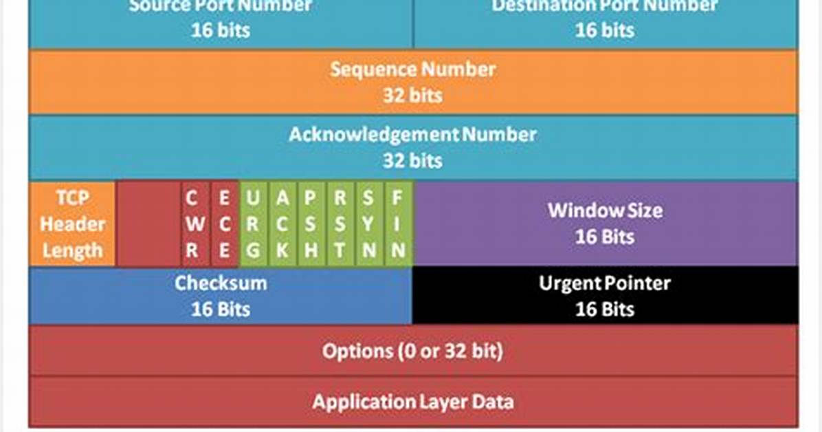Tcp Header
