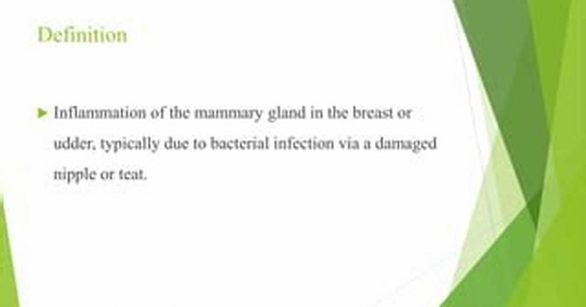 Teat Definition
