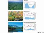 Temperate Forest Climate