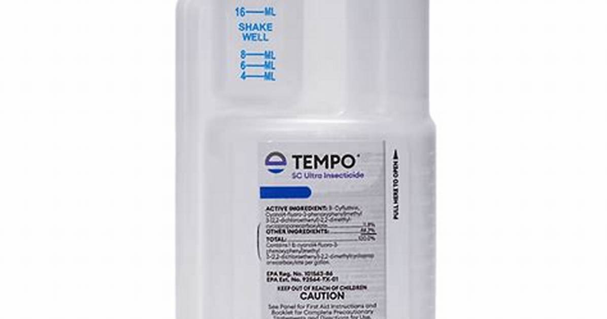 Tempo Sc