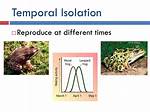 Temporal Isolation Example