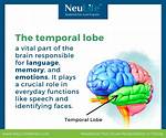 Temporal Lobe Damage