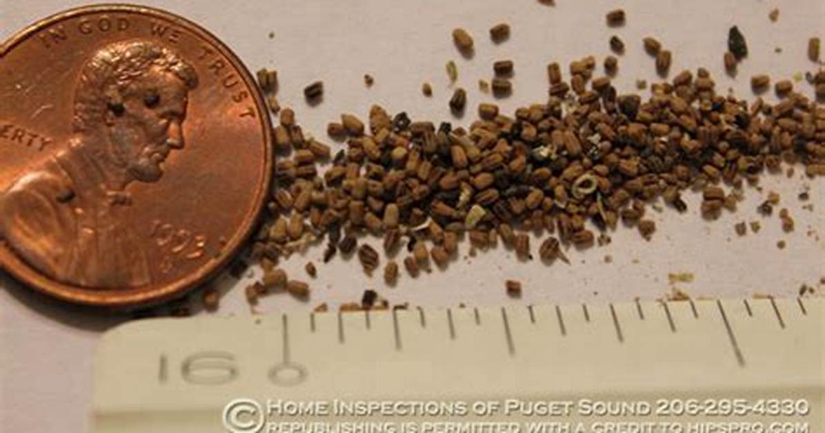 Termite Pellets