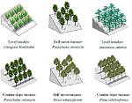 Terracing Definition