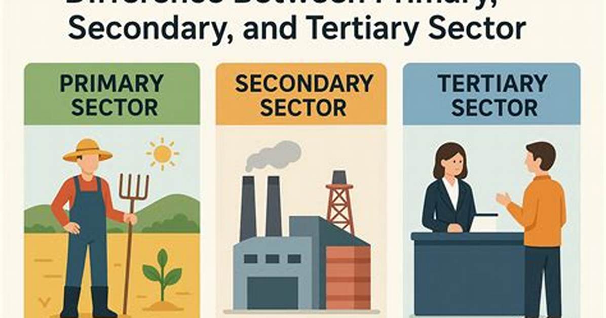 Tertiary Activities Examples
