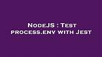 Test Process. Env with Jest