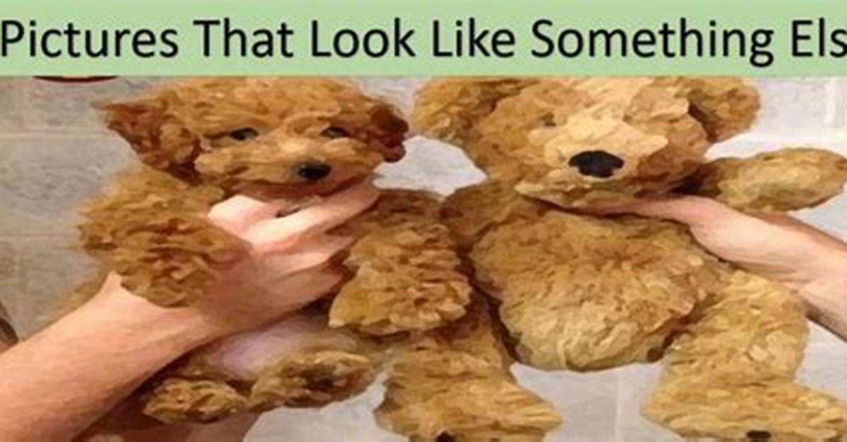 That ___ Really Something Else!