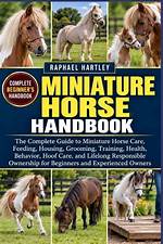"The Assumira Handbook: a Complete Guide"