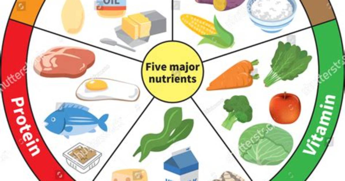 “The Basic Nutrients Are Vitamins