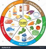 “The Basic Nutrients Are Vitamins